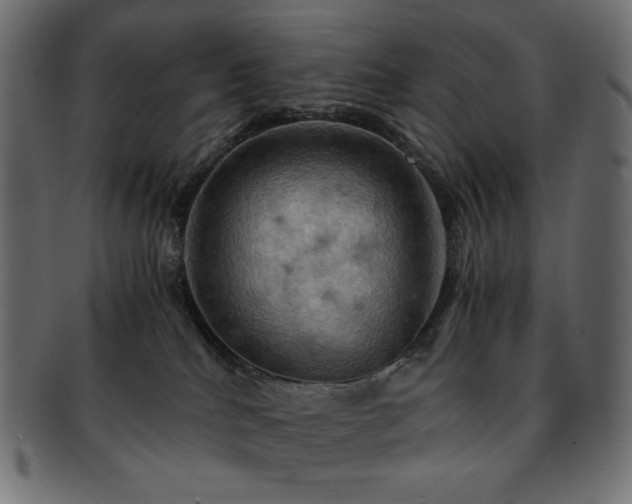 X0000093240040200710031611