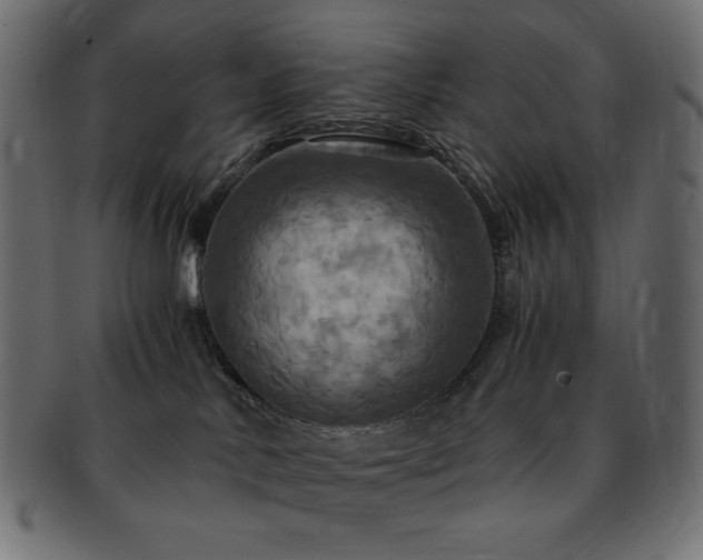 X0000093240042200710031611