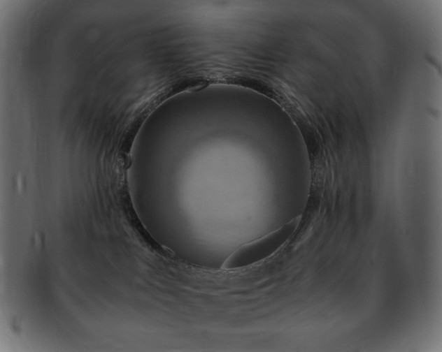 X0000093240043200710031611