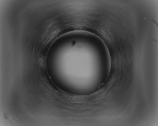 X0000093240044200710031611