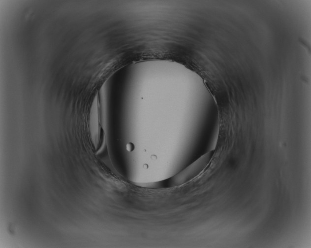 X0000093240045200710031611