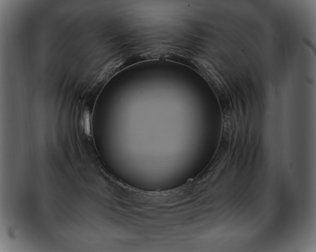 X0000093240046200710031611