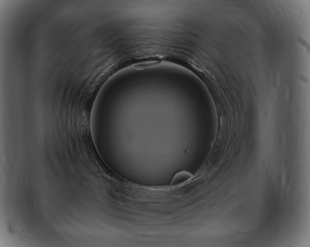 X0000093240048200710031611