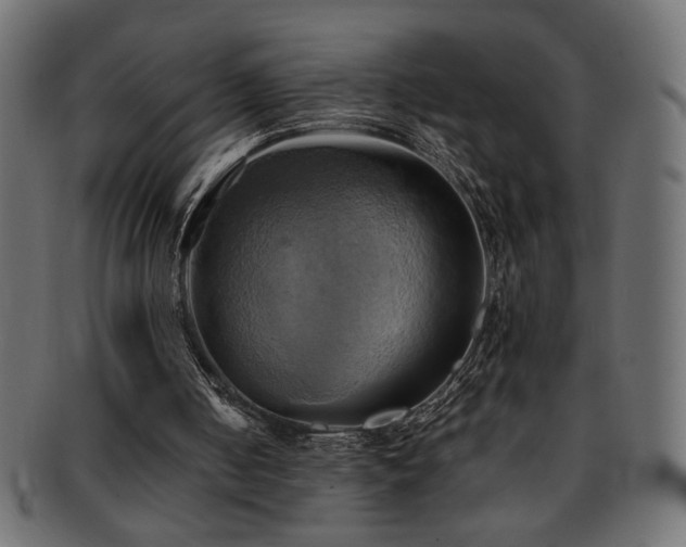 X0000093240050200710031610