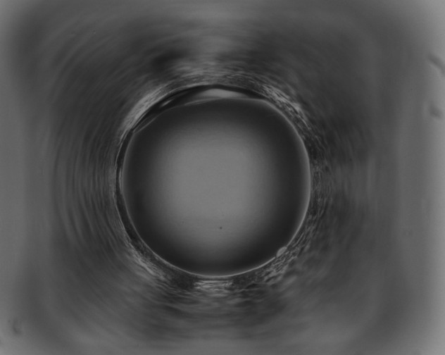 X0000093240051200710031610
