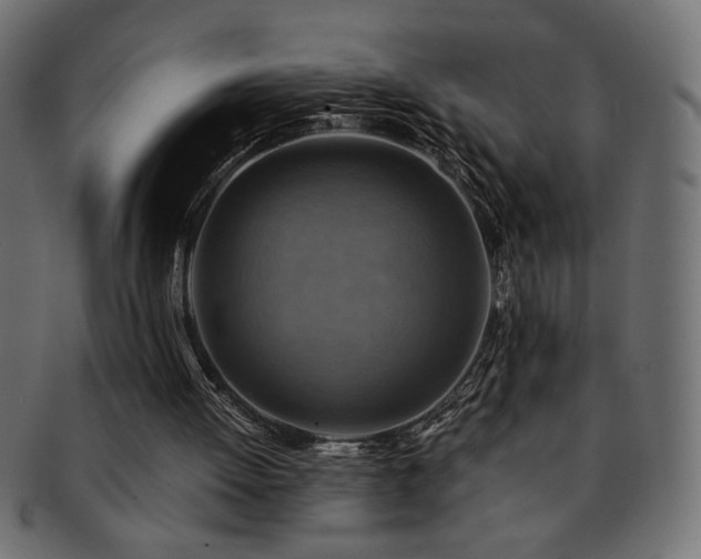 X0000093240052200710031610