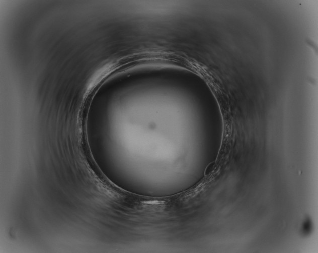 X0000093240053200710031610