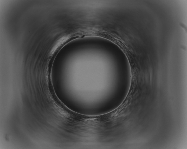 X0000093240054200710031610