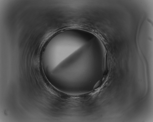 X0000093240055200710031610