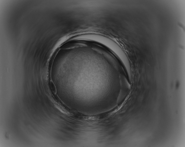 X0000093240056200710031610