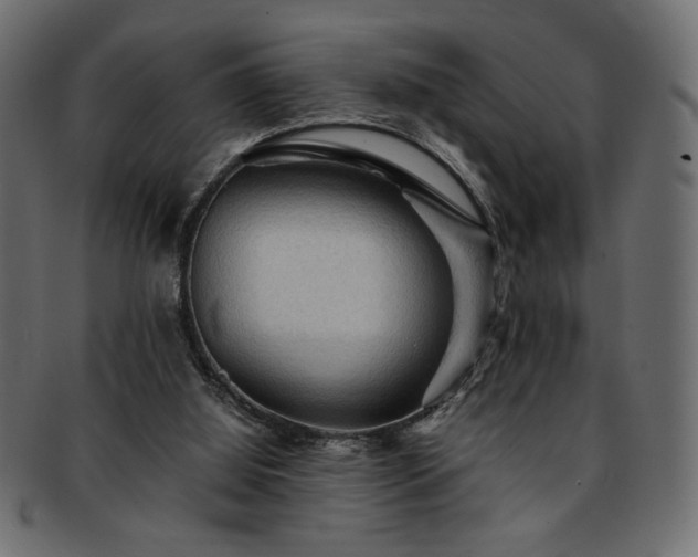 X0000093240060200710031610