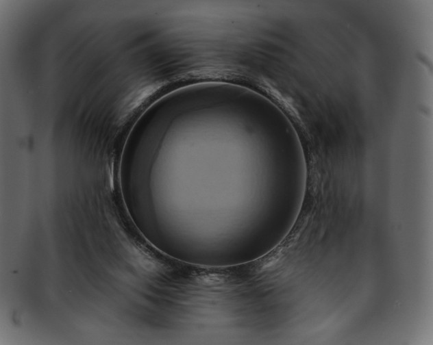 X0000093240062200710031610