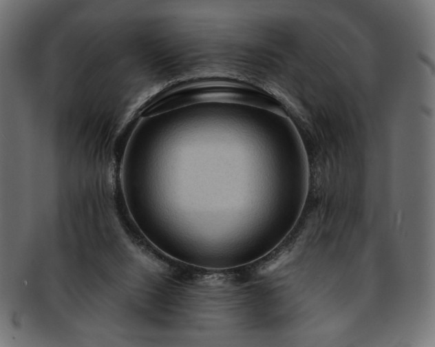 X0000093240064200710031610