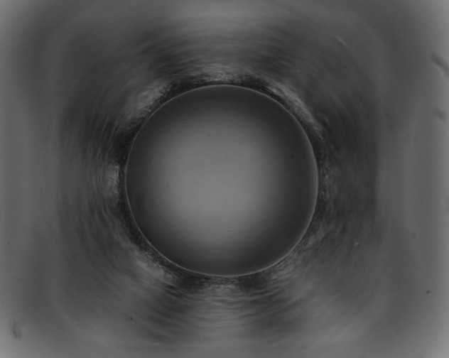 X0000093240066200710031610