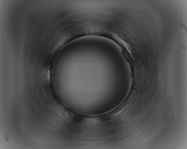 X0000093240067200710031610