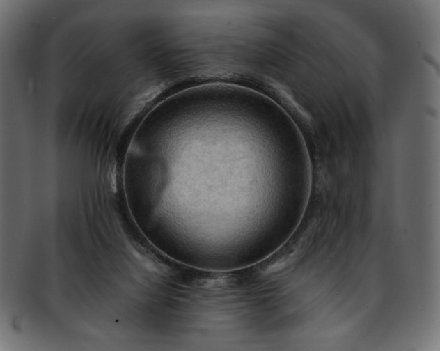 X0000093240068200710031610