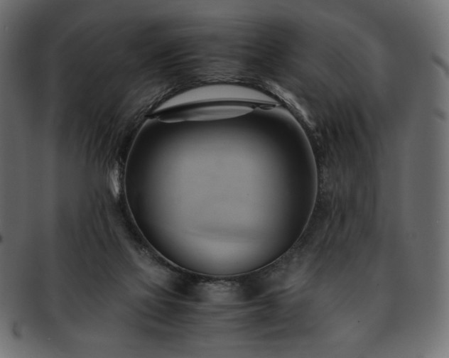 X0000093240069200710031610