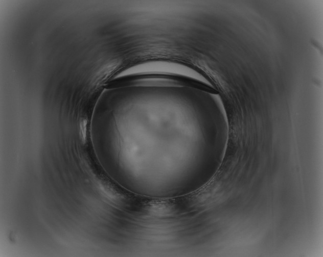 X0000093240070200710031610