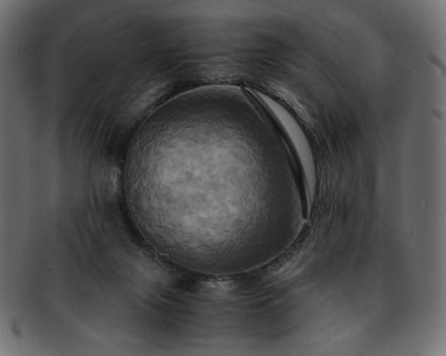 X0000093240071200710031610