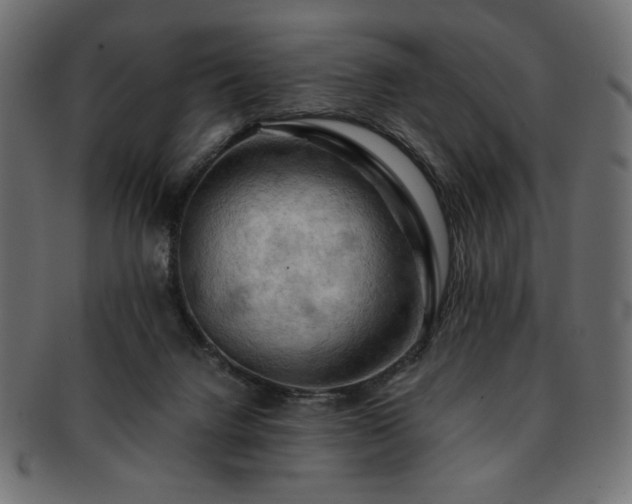 X0000093240072200710031610