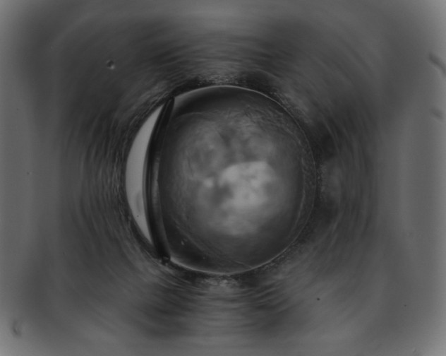X0000093240073200710031610