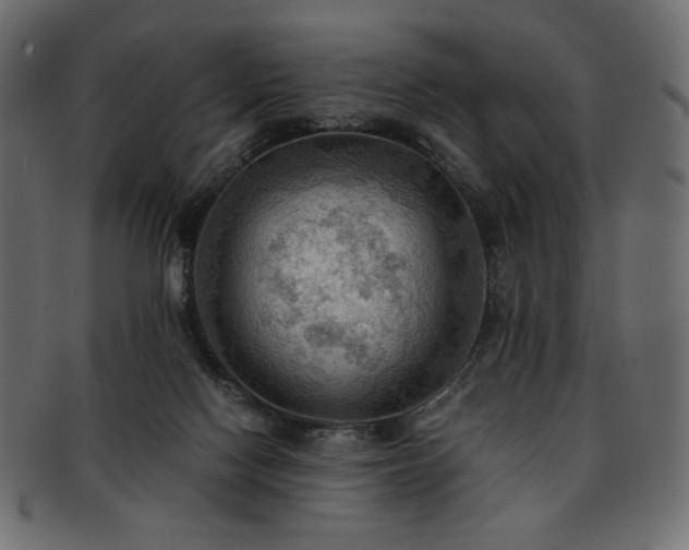X0000093240074200710031610