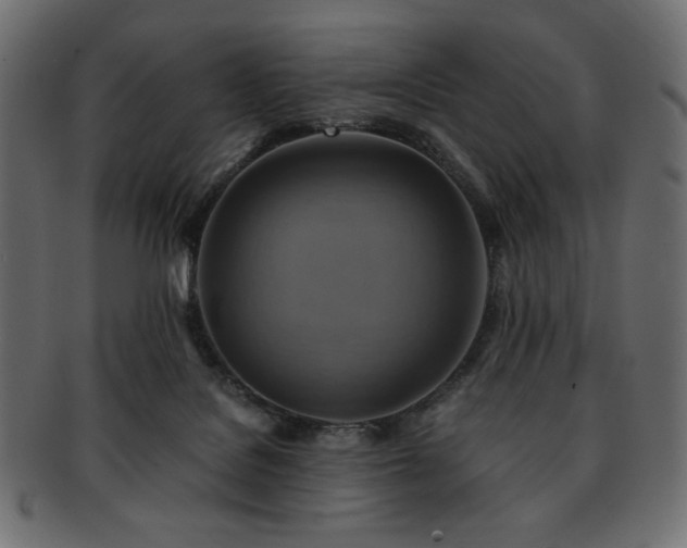 X0000093240076200710031610