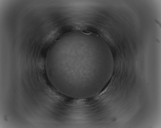 X0000093240078200710031610
