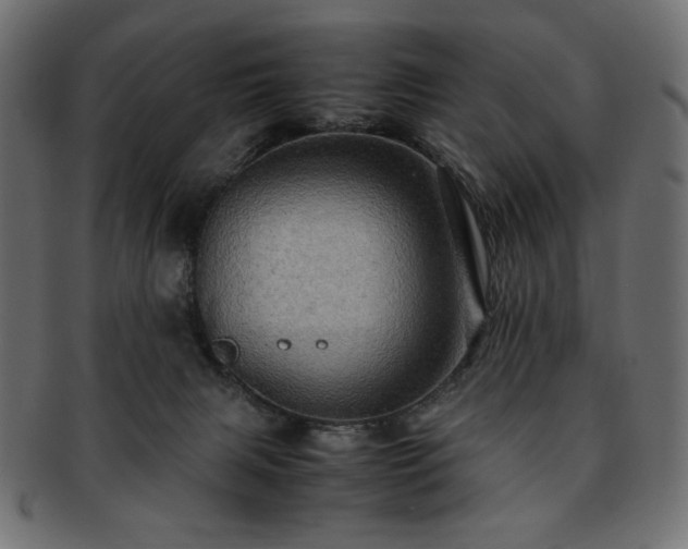 X0000093240079200710031610