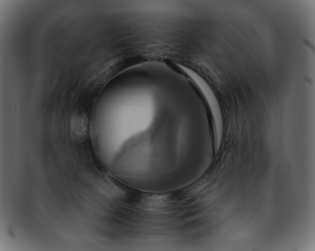 X0000093240081200710031610