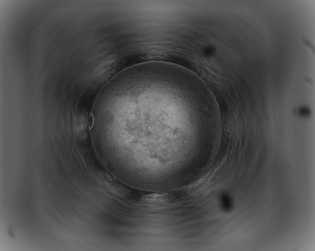 X0000093240082200710031610