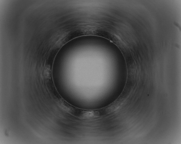 X0000093240083200710031610