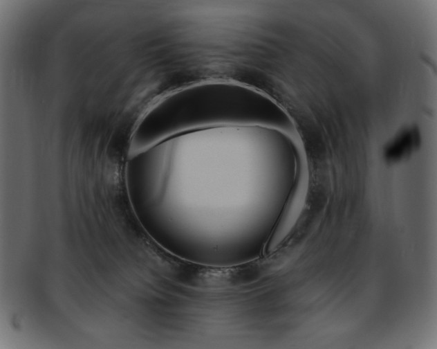 X0000093240084200710031610