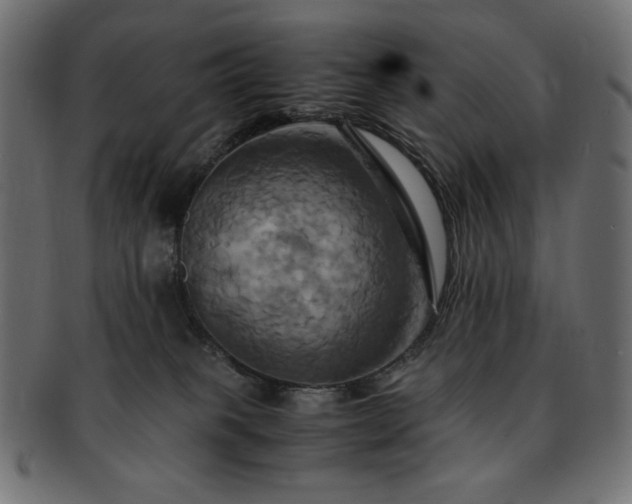 X0000093240085200710031610