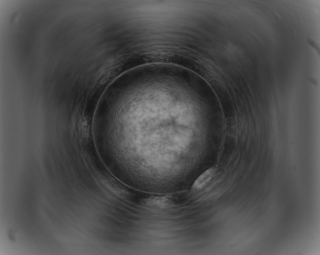 X0000093240086200710031610