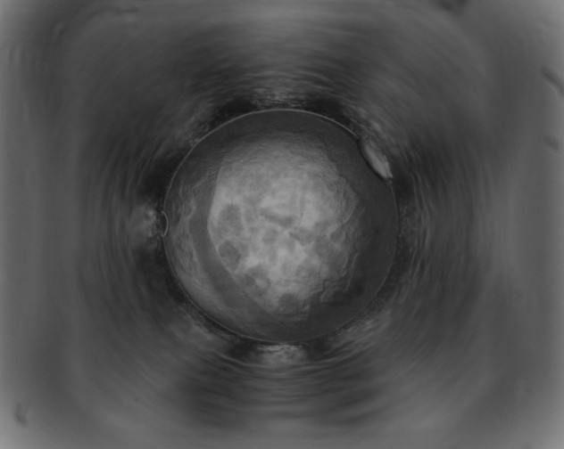 X0000093240087200710031610