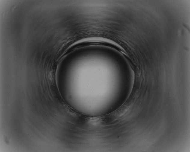 X0000093240088200710031611