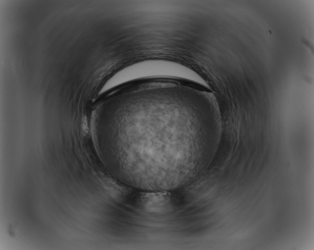 X0000093240089200710031611