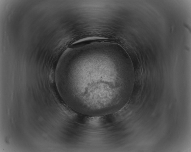 X0000093240090200710031611