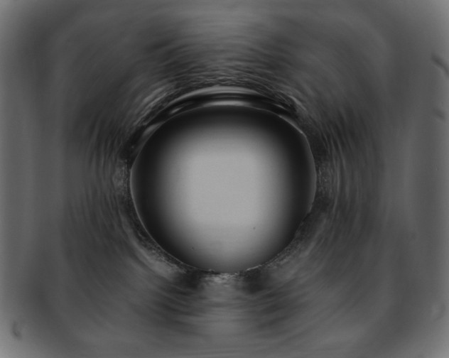 X0000093240092200710031611