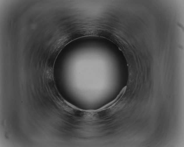 X0000093240096200710031611
