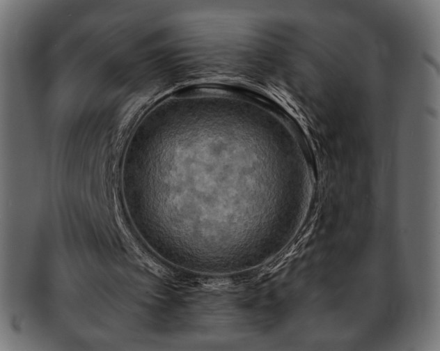 X0000093240097200710031610