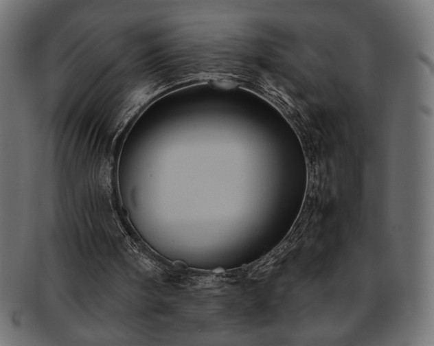 X0000093240098200710031610