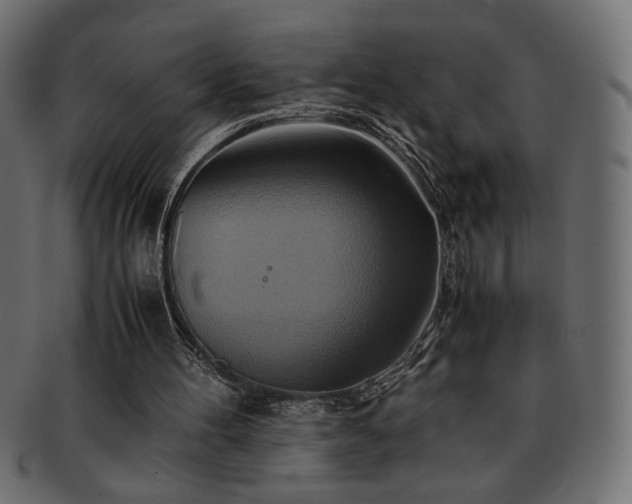 X0000093240100200710031610