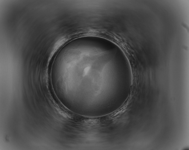 X0000093240102200710031610