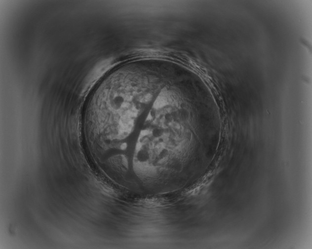 X0000093240103200710031610