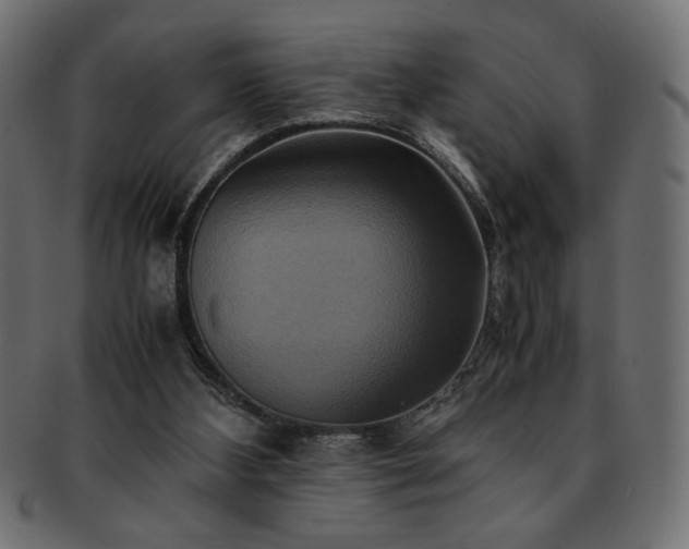 X0000093240108200710031610