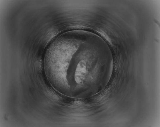 X0000093240111200710031610