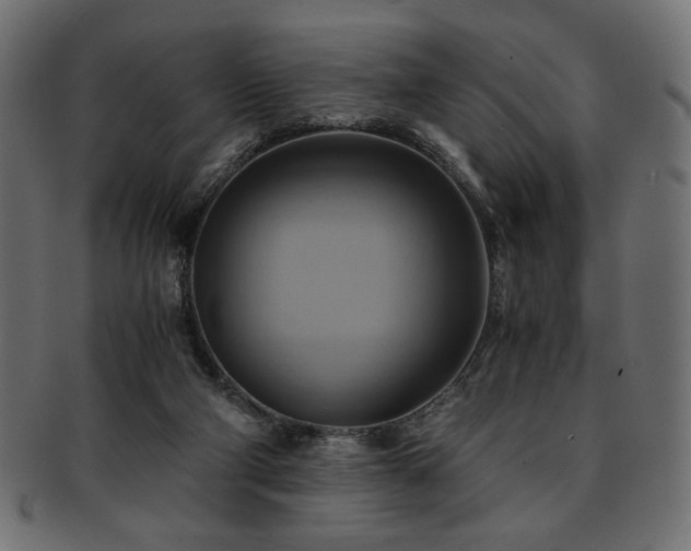 X0000093240114200710031610