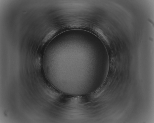 X0000093240116200710031610